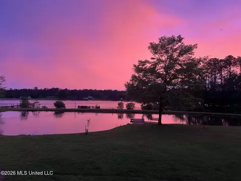 View/Area - 17113 E Spring Lake Dr, Vancleave, MS 39565 photo 17 of 17