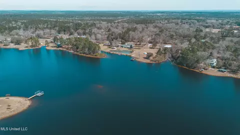 View/Area - 17113 E Spring Lake Dr, Vancleave, MS 39565 photo 5 of 17