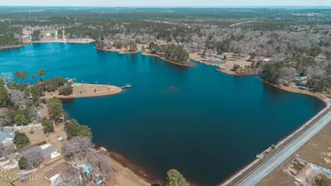 View/Area - 17113 E Spring Lake Dr, Vancleave, MS 39565 photo 8 of 17