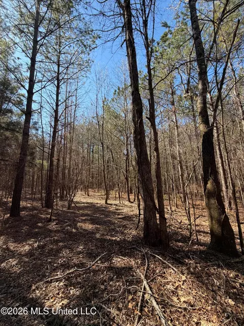 2001 Reed Rd, Ackerman, MS 39735 photo 22