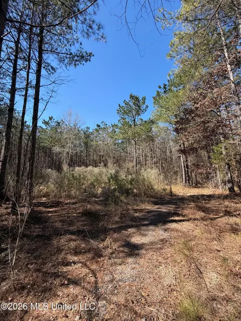 2001 Reed Rd, Ackerman, MS 39735 photo 3