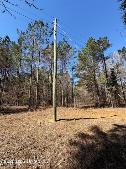 2001 Reed Rd, Ackerman, MS 39735 photo 2