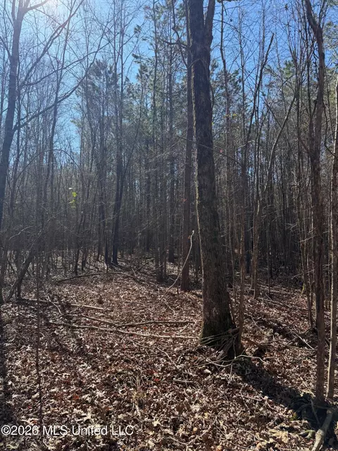 2001 Reed Rd, Ackerman, MS 39735 photo 13
