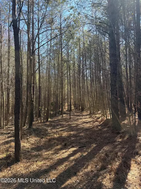 2001 Reed Rd, Ackerman, MS 39735 photo 16