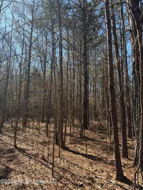 2001 Reed Rd, Ackerman, MS 39735 photo 19