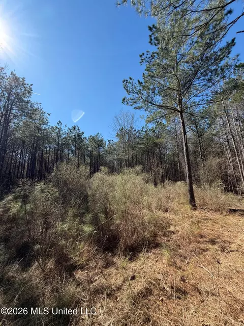 2001 Reed Rd, Ackerman, MS 39735 photo 24