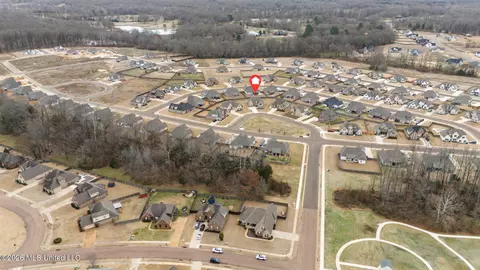 View/Area - 1567 Eden Loop, Hernando, MS 38632 photo 8 of 9