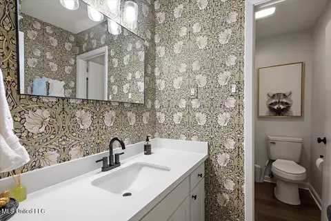 Bath - 231 Stonecastle Dr, Brandon, MS 39047 photo 3 of 3