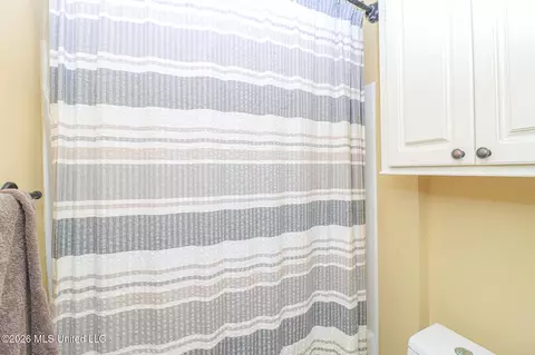 Bath - 516 Glensview Dr, Brandon, MS 39047 photo 3 of 5