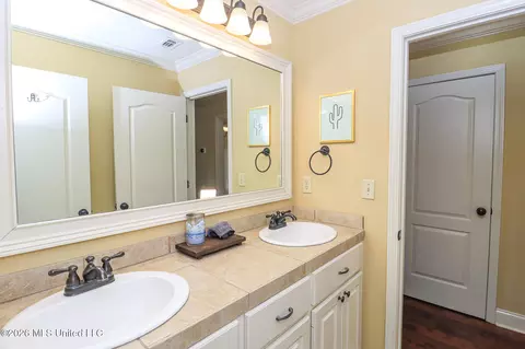 Bath - 516 Glensview Dr, Brandon, MS 39047 photo 4 of 5