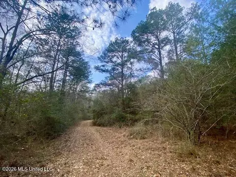 2190 Summit Holmesville Rd, Mccomb, MS 39648