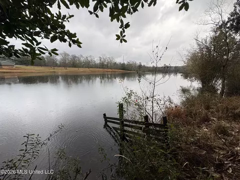 View/Area - 182 Blue Lakes Dr, Lucedale, MS 39452 photo 2 of 3