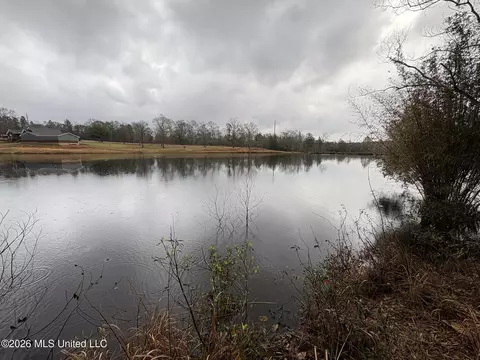 View/Area - 182 Blue Lakes Dr, Lucedale, MS 39452 photo 3 of 3