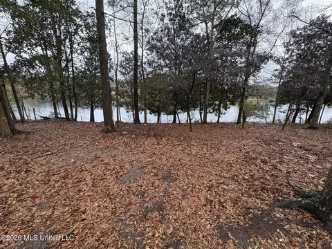 View/Area - 182 Blue Lakes Dr, Lucedale, MS 39452 photo 1 of 3