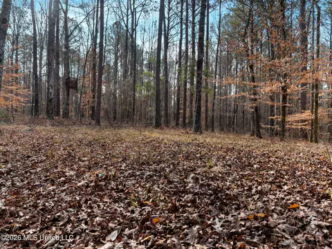 0000 Utah Rd, Lena, MS 39094 photo 31
