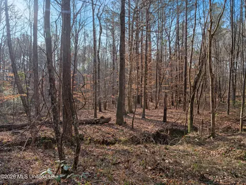 0000 Utah Rd, Lena, MS 39094 photo 34