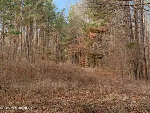 0000 Utah Rd, Lena, MS 39094 photo 11