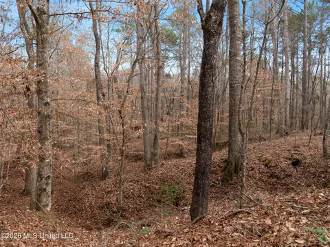 0000 Utah Rd, Lena, MS 39094 photo 13
