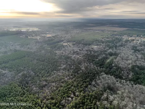 0000 Utah Rd, Lena, MS 39094 photo 5