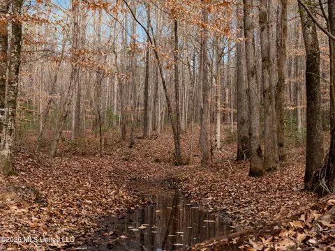0000 Utah Rd, Lena, MS 39094 photo 14