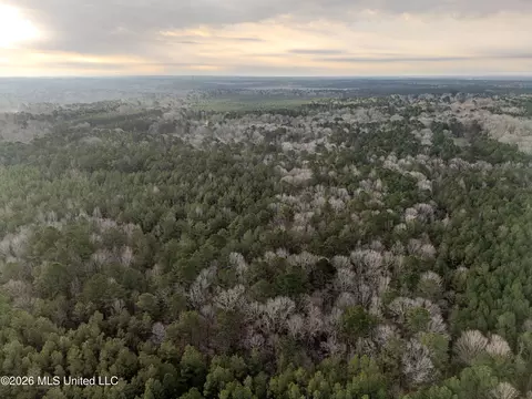 0000 Utah Rd, Lena, MS 39094 photo 6