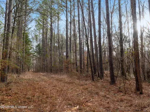 0000 Utah Rd, Lena, MS 39094 photo 10