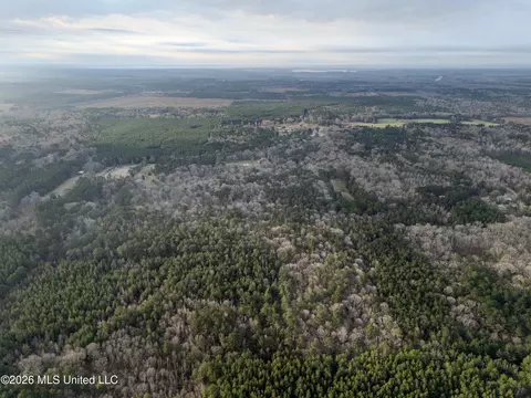 0000 Utah Rd, Lena, MS 39094 photo 4