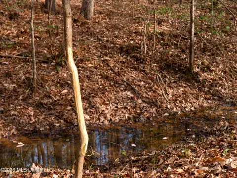 0000 Utah Rd, Lena, MS 39094 photo 20