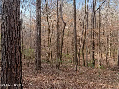 0000 Utah Rd, Lena, MS 39094 photo 26