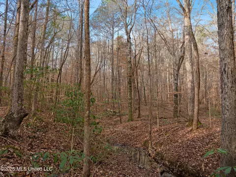 0000 Utah Rd, Lena, MS 39094 photo 21