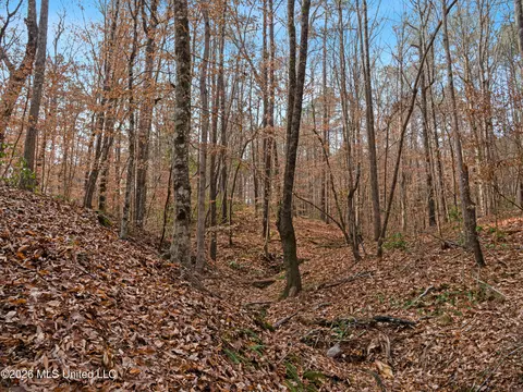 0000 Utah Rd, Lena, MS 39094 photo 36