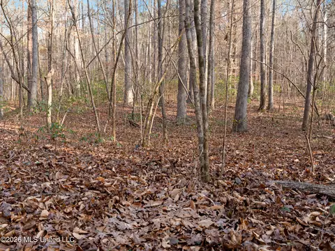 0000 Utah Rd, Lena, MS 39094 photo 23