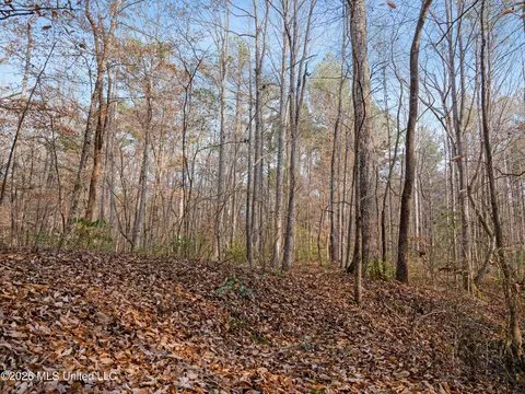 0000 Utah Rd, Lena, MS 39094 photo 22