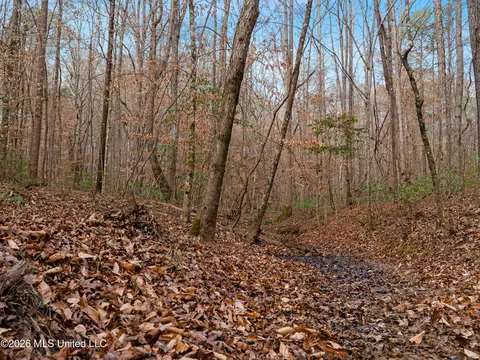 0000 Utah Rd, Lena, MS 39094 photo 17