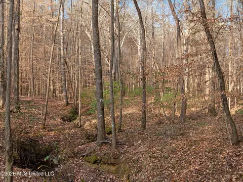 0000 Utah Rd, Lena, MS 39094 photo 24