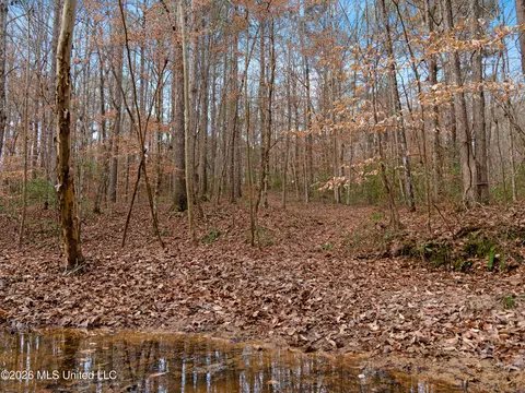 0000 Utah Rd, Lena, MS 39094 photo 15