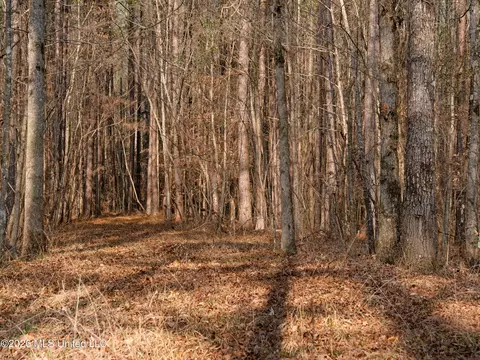 0000 Utah Rd, Lena, MS 39094 photo 32