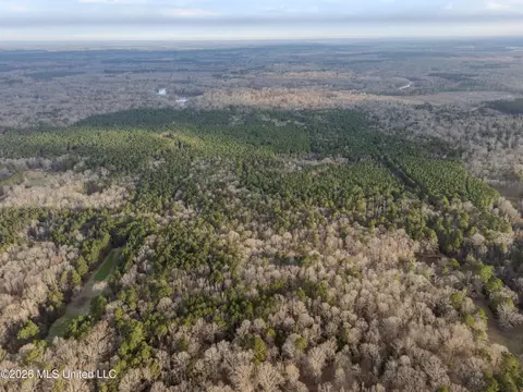 0000 Utah Rd, Lena, MS 39094 photo 2