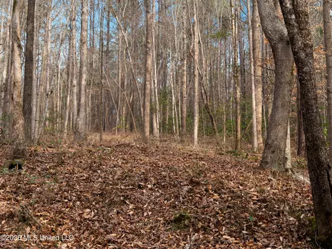 0000 Utah Rd, Lena, MS 39094 photo 18