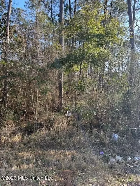 Petunia Road, Gautier, MS 39553