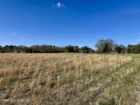 1055 Jenkins Rd, Terry, MS 39170 photo 28