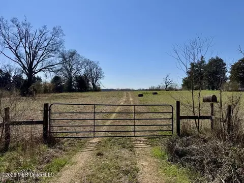 1055 Jenkins Rd, Terry, MS 39170 photo 3