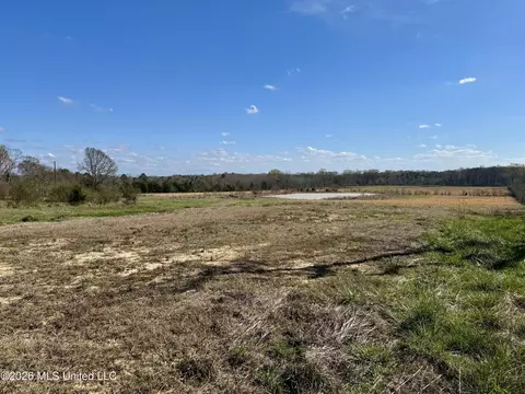 1055 Jenkins Rd, Terry, MS 39170 photo 16