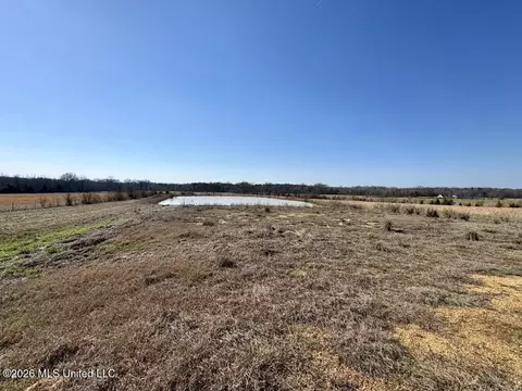 1055 Jenkins Rd, Terry, MS 39170 photo 20