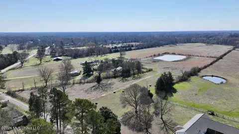 1055 Jenkins Rd, Terry, MS 39170