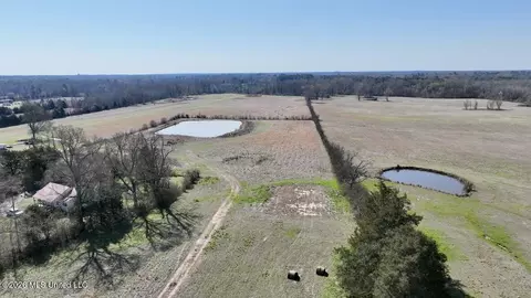 1055 Jenkins Rd, Terry, MS 39170 photo 12
