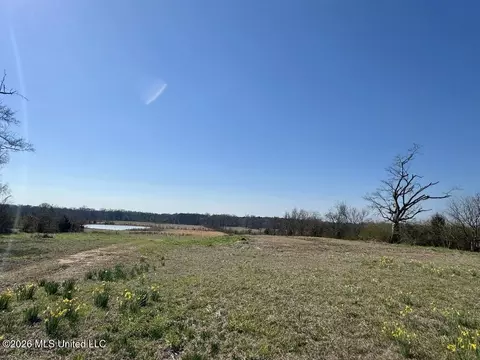 1055 Jenkins Rd, Terry, MS 39170 photo 11