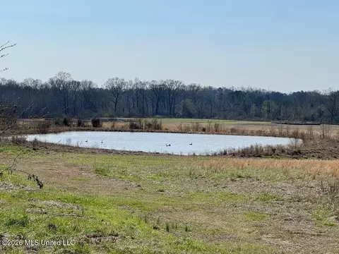 1055 Jenkins Rd, Terry, MS 39170 photo 17