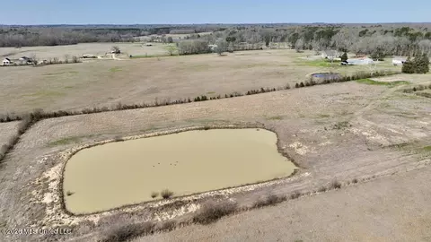 1055 Jenkins Rd, Terry, MS 39170 photo 26