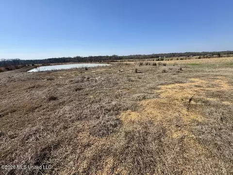 1055 Jenkins Rd, Terry, MS 39170 photo 25